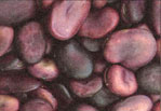 
Guatemalan Purple Fava Beans.
